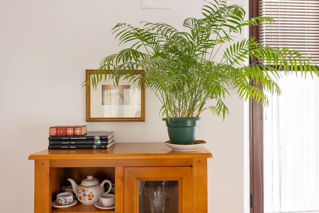 Narciso Campillo Oasis By Valcambre Appartement